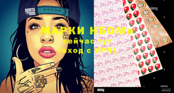 гашик Тайга