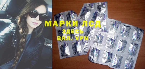 гашик Тайга