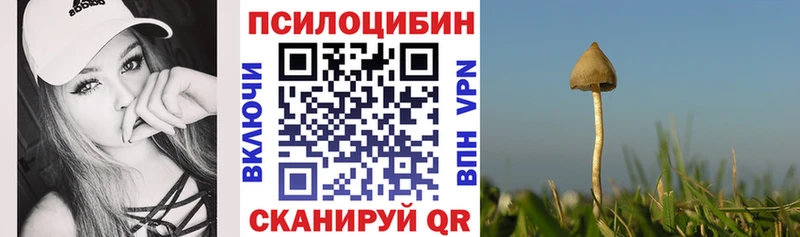 Псилоцибиновые грибы Magic Shrooms  Купить где  Южа 